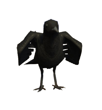 Corvo