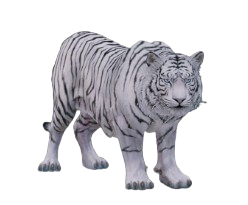 Tigor